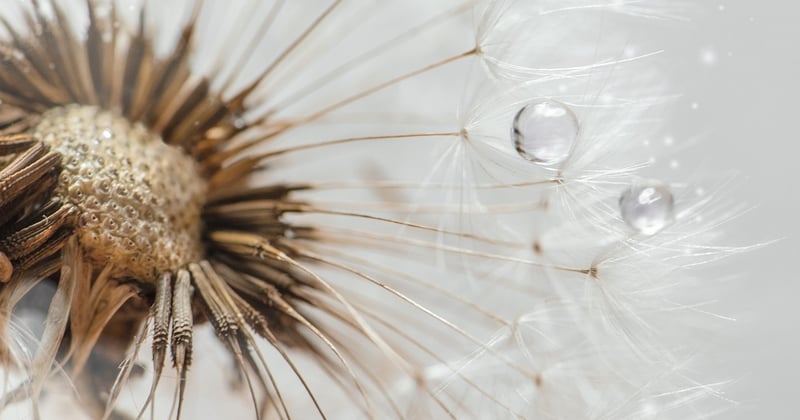 How to Raise Seed Funding for Your Startup: A Founder's Guide